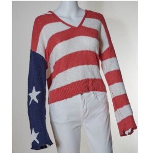 AMERICAN EAGLE Americana flag Sweater Hoodie